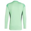 Officiële Voetbalshirt Doelman Ajax Amsterdam 2025-26 Lange Mouw Groene - Heren